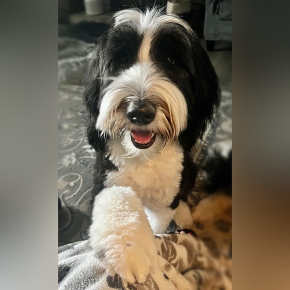 Meet your Posher, Mel - Picture 4 of 7